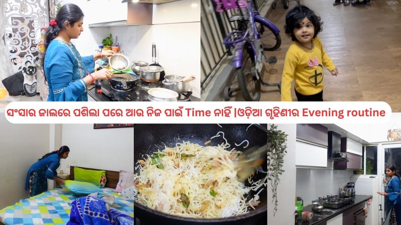 ସଂସାର ଜାଲରେ ପଶିଲା ପରେ ଆଉ ନିଜ ପାଇଁ ର୍ଟମେ ନାହିଁ |ଓଡ଼ିଆ ଗୃହିଣୀର Evening routine |Odia Vlog