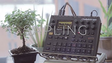 Sapling. | Ambient Digitakt | Unsynced tape loops | No sequencer.