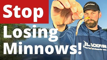 5 Ways To Hook a Minnow On A Jig That Every Angler Should Know