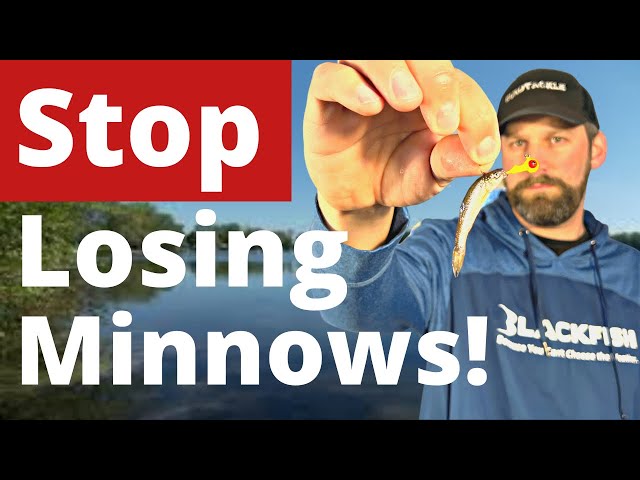 5 Ways To Hook a Minnow On A Jig That Every Angler Should Know 