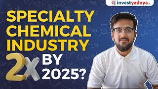 Indian Specialty Chemical Industry detailed analysis (with ENG subtitles)