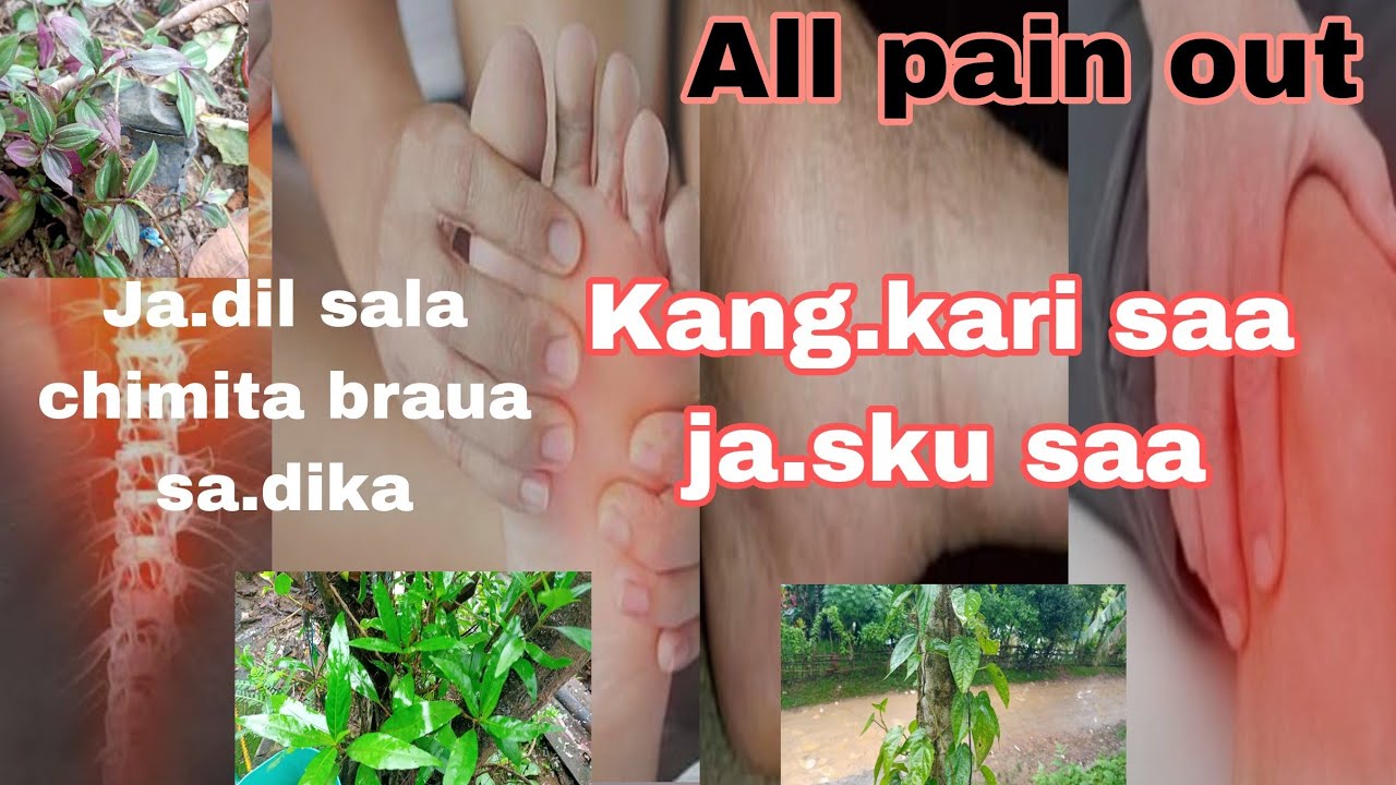 Maikai Ja.a ja.dil sala kang.kari saa chimita braua ripoma ia indakgipa rangko namatani A.chiksamrng