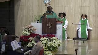 Fifth Sunday of Ordinary Time