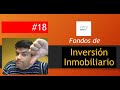 Fondos de Inversión Inmobiliaria