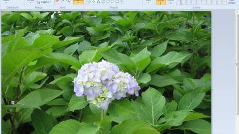 Crop a picture using Paint.wmv