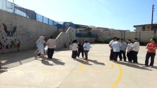 hhhs seniors 13 LS Harlem Shake