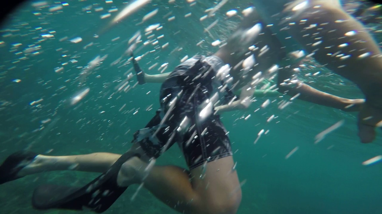 Snorkeling Kauai Napali Coast 05 YouTube