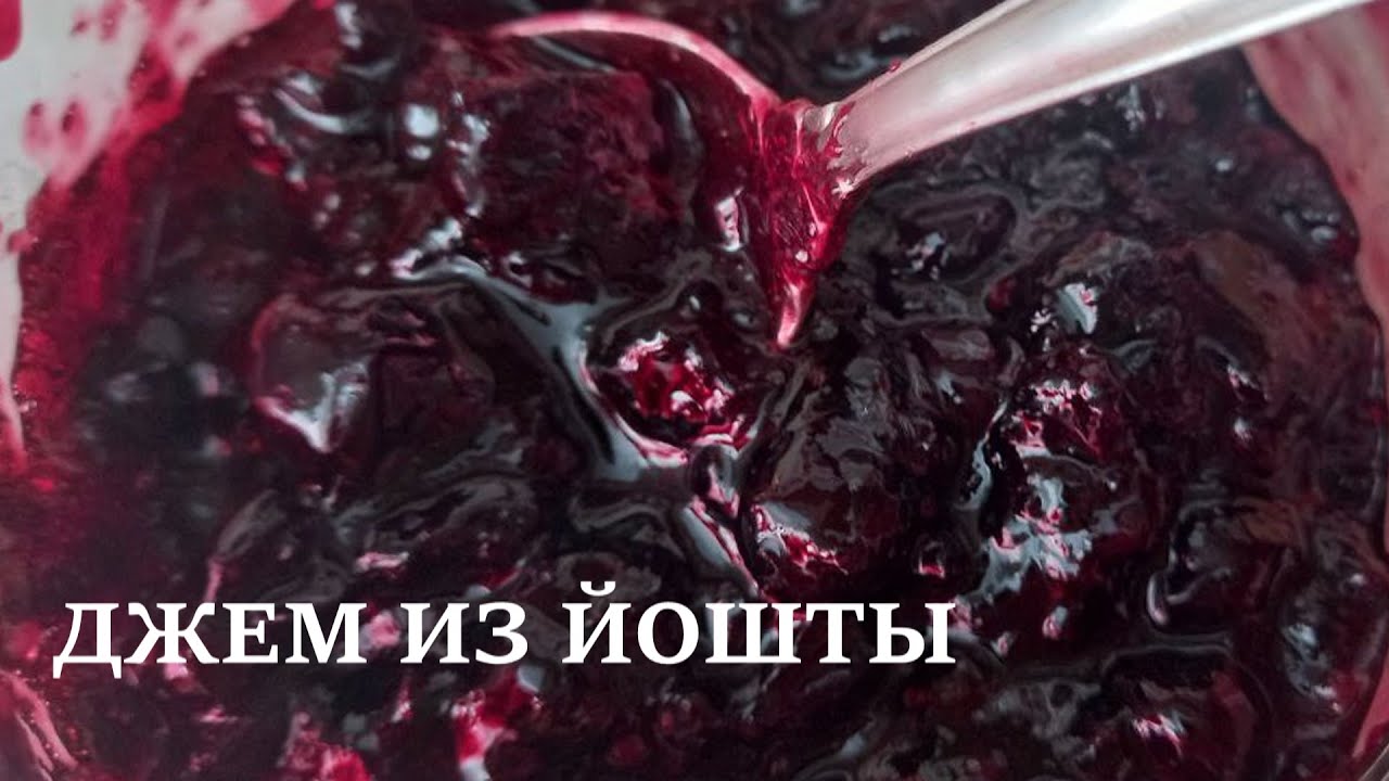 Густой и вкусный джем из йошты