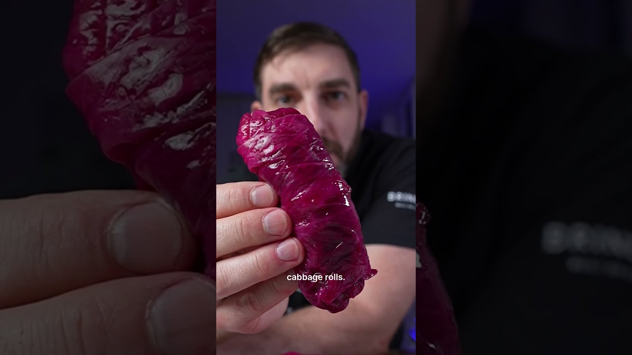 What Happens When You Ferment a Cabbage Roll?