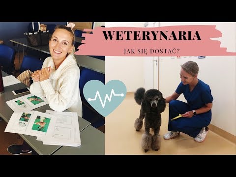 Wideo: Najtrudniejsze Lekcje Weterynaryjne