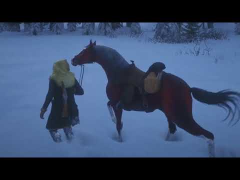 انا الي خلقت الشعر