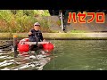 【フローターハゼ釣り】ホタテはこんな感じで使うとよく釣れます!コツは水中でふわっと広がるイメージで