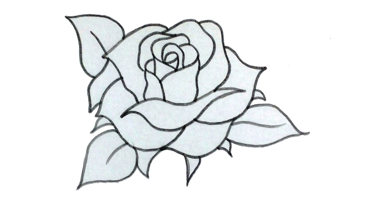 Rose Pencil Sketch - Easy Step by Step - YouTube