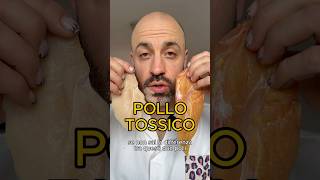 💀 POLLO TOSSICO ⤵️