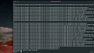 1 6 Learning NVM Node js Versions