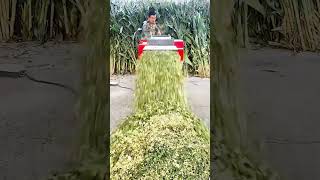 Corn stalk grass cutting machine #fcnfm #farmmachine