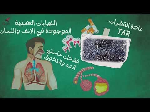اضرار التدخين على الصحة اكسبرت علم يستحق الحياة