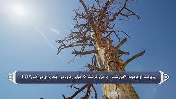 غزوه ها - سوره انفال آیه 5 تا 13