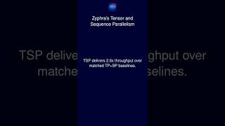 Zyphra's Tensor and Sequence Parallelism