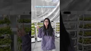 Why are you blocking me?#greenhouse #farmequipment #indoorfarming #sustainablefarming #hydroponics