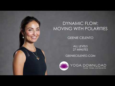 Dynamic Flow: Moving