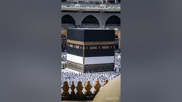 ما تيسر من سورة الكهف🌿 - صالح الجعفراوي