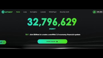 Bitnest Loop Smart Contract Passive Income Introduction - How I earn 24% profit every 28 days