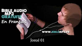 Audio Bible - Joshua - MP3 Bible in French screenshot 5