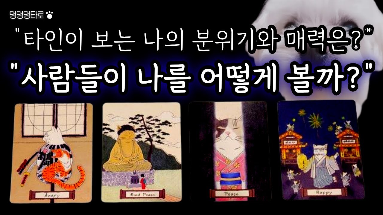 사람들이 나를 어떻게 볼까? 나의 분위기와 매력 타로로 알아보기!