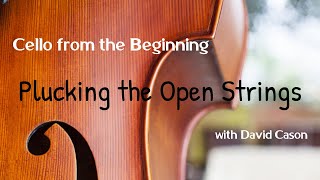Plucking the Open Strings