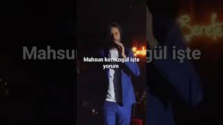 Mahsun Kırmızıgül Dinle Resimi