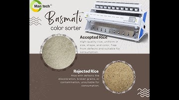 How Basmati Rice is Sorted | Rice Color Sorter Machine #basmatirice #sorting #foodprocessing #grain