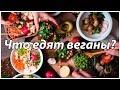 Что едят ВЕГАНЫ в США? | Веганские продукты | Разбираем мои покупки