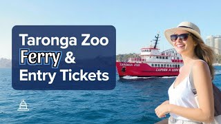 Taronga Zoo Ferry and Entry Tickets Guide Best Prices How to Book Full Experience