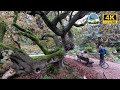 Relaxing walk on Jardin des Plantes | 4K Paris Walk