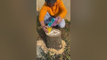 I Made a Tree Stump Disappear Using This Backyard Trick!