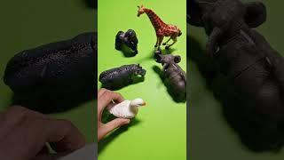 Tiny Animal Face-Off! 🐾 Satisfying ASMR Tapping &amp; Miniatures 🌴