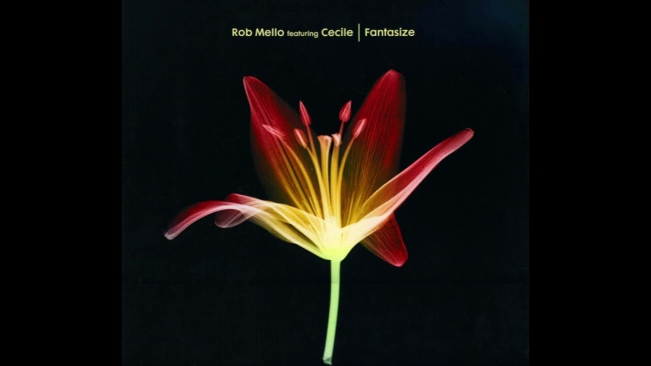 Rob Mello - Fantasize (Dub)