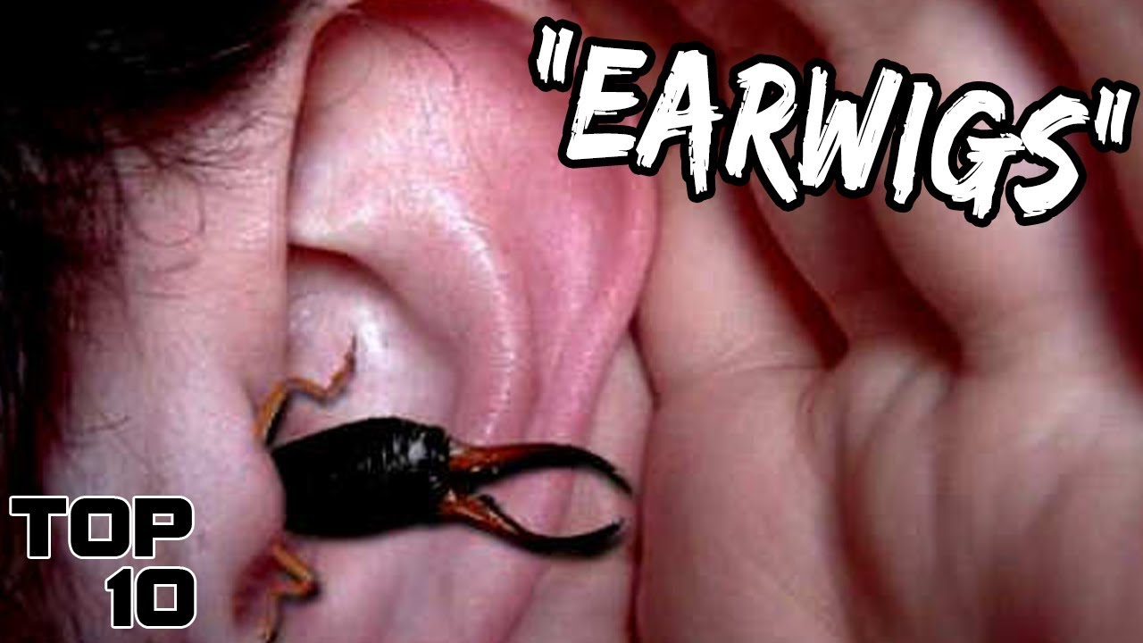 Top 10 Scary Sounds Ever Recorded That Will Keep You Up At Night Top Top 10 Scary Sounds Ever Recorded That Will Keep You Up At Night Top