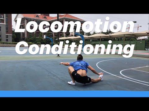 Locomotion Conditioning | Improvisation and Integration | Play session