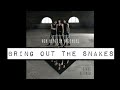 Von Hertzen Brothers - Bring Out The Snakes (audio)