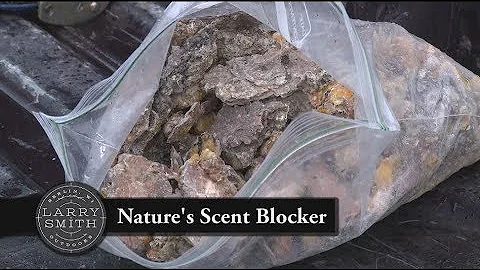 Hunting Tip- Pine Sap Cover Scent