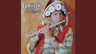 Video thumbnail of "Edmilson do Pífano - Tocando Com os Dedos"