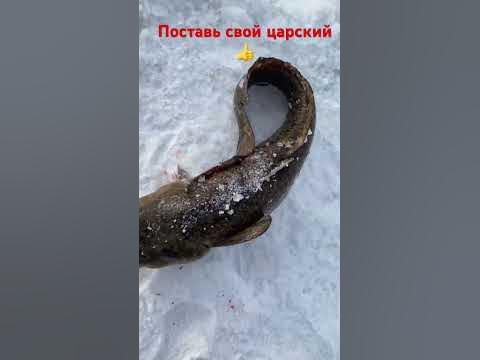 Вес будет указан в большом видео☝️ - YouTube