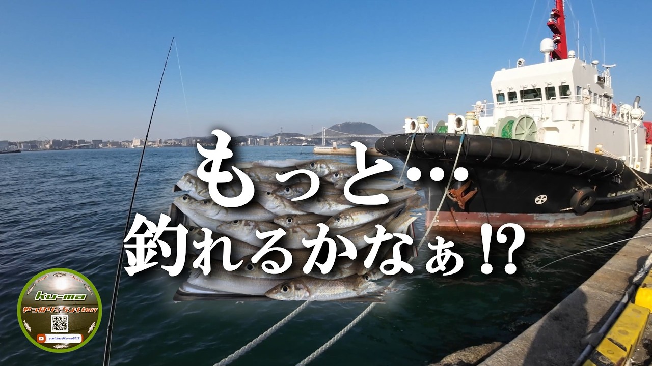 【キス釣り】もっと…釣れるかなぁ⁉️