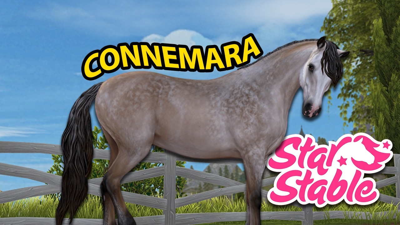 ACHAT DU CONNEMARA | Star Stable - SSO