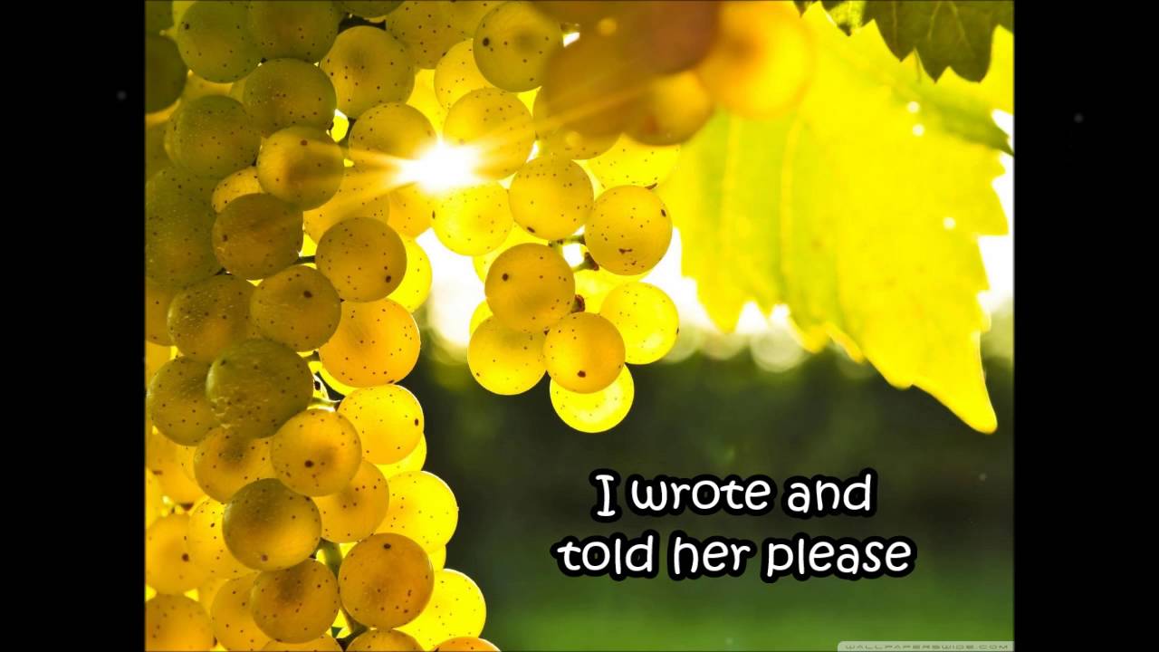 Tie a Yellow Ribbon Round the Ole Oak Tree Lyrics YouTube