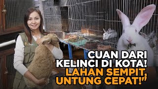 Download Lagu Young Ambassador Pertanian Ini Buktikan Ternak Kelinci Bisa Cuan di Tengah Kota! MP3