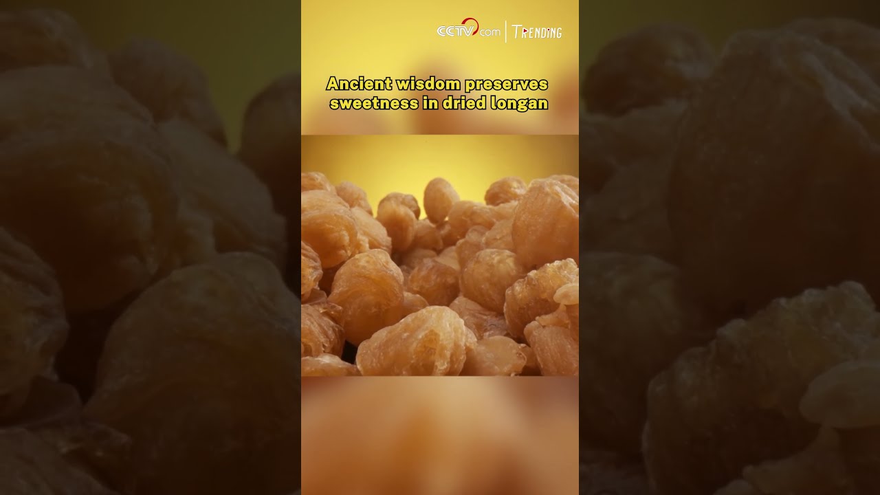 Ancient Wisdom Preserves Sweetness In Dried Longan