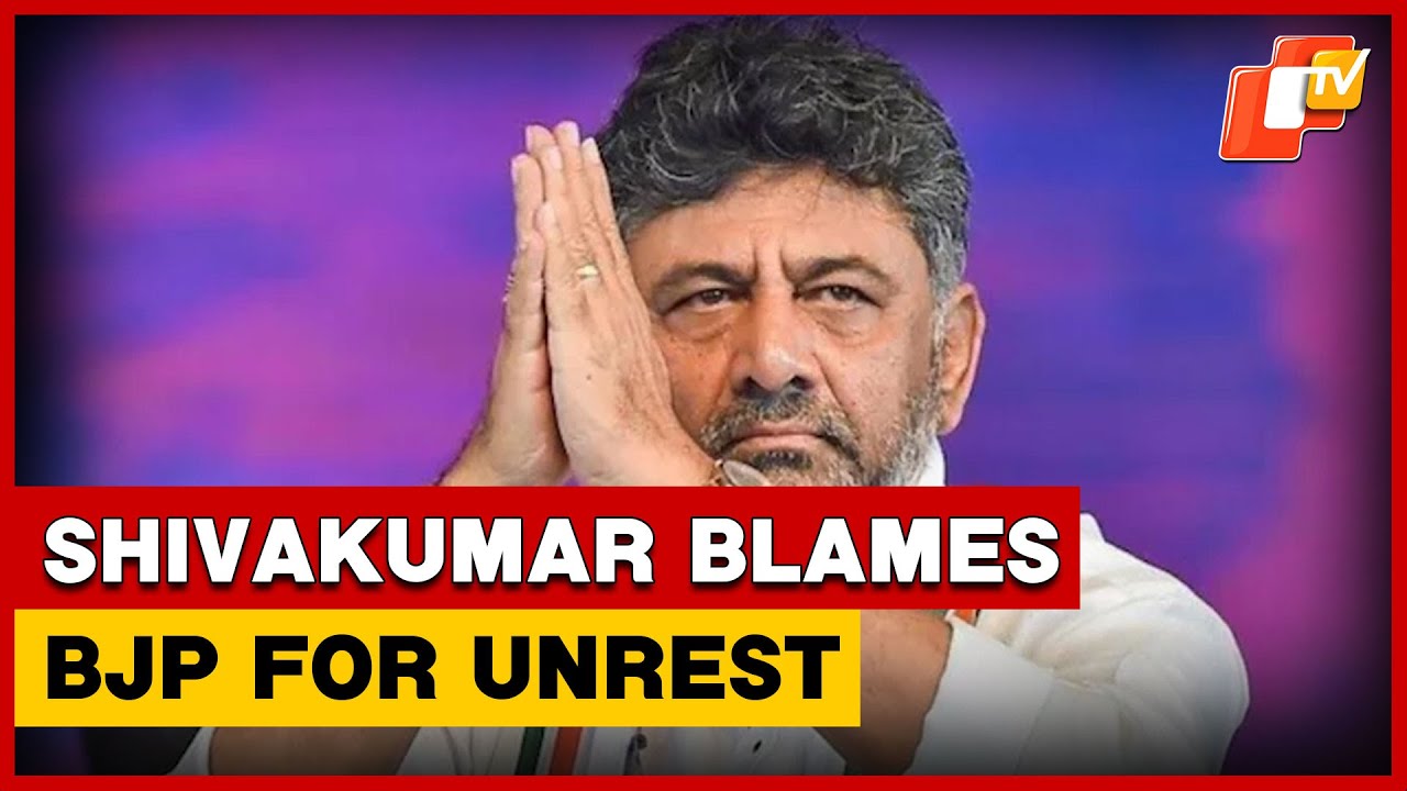 Karnataka DCM DK Shivakumar On BJP Protest & Rahul Gandhi Meeting